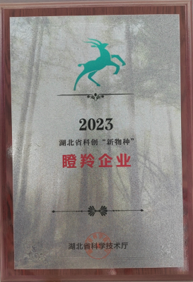 瞪羚企業(yè)